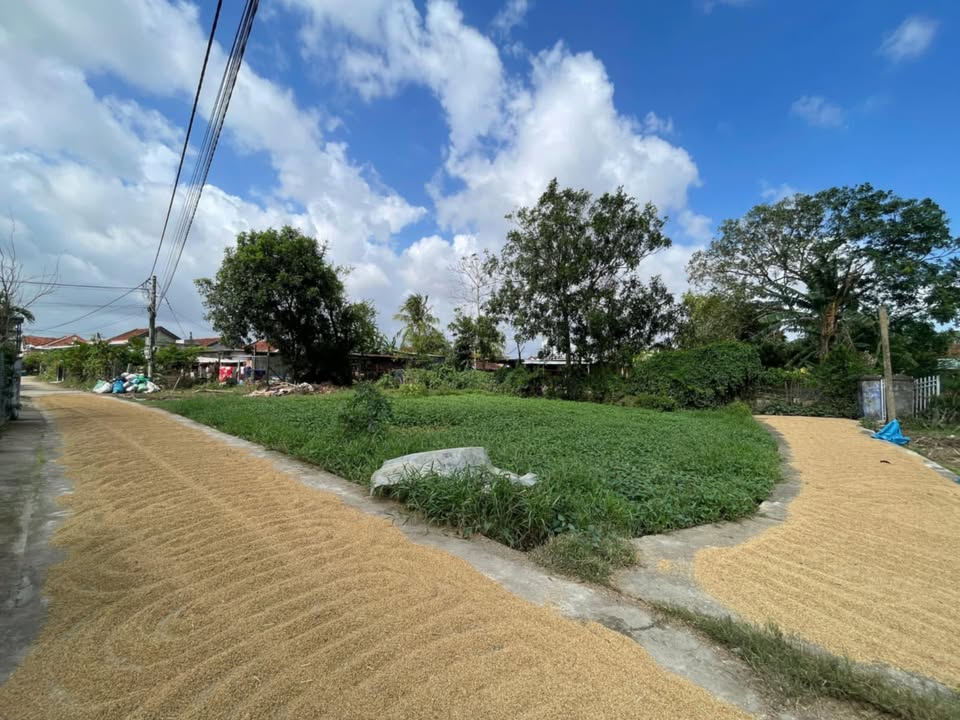 Đất nền Hòa Tân Tây Hòa 88m² giá 288 triệu - Cơ hội đầu tư không thể bỏ lỡ!