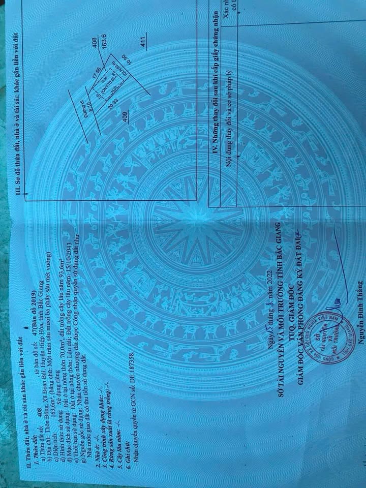 Đất nền thôn Đông Đoan, Hiệp Hòa, Bắc Giang 163m² - Tiềm năng sinh lời cao!