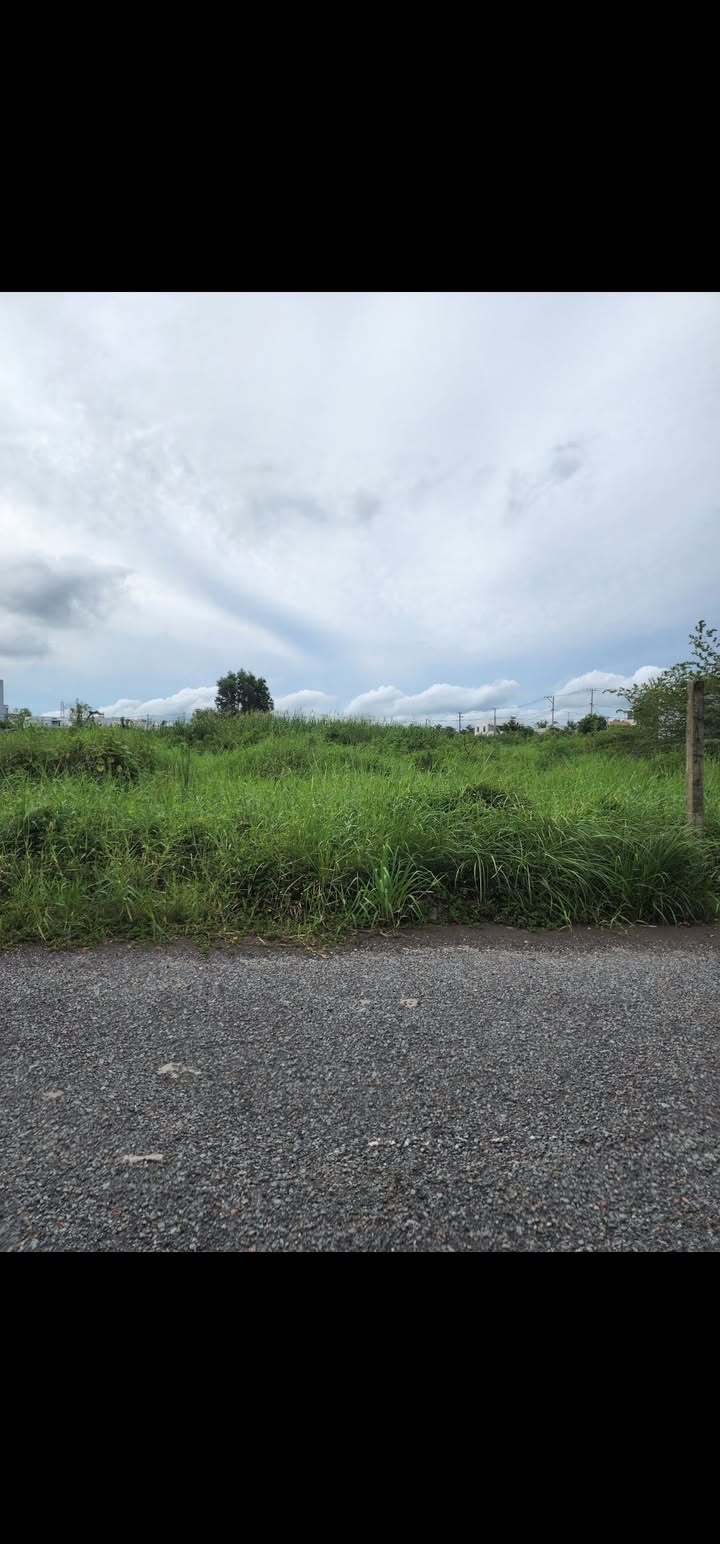 Đất nền Bông Văn Dĩa Bạc Liêu 75m² - Cần vốn mở quán cà phê!