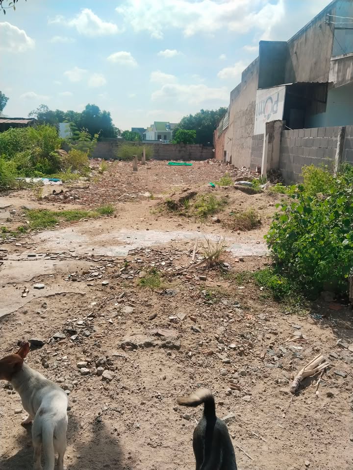 Bán đất thổ cư Cam Linh 105m² giá 1.6 tỷ - Hẻm xe lôi thông thoáng!