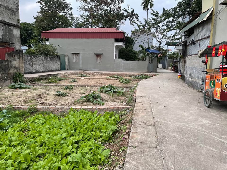 Đất nền Minh Châu, Yên Mỹ 56m² giá 1 tỷ - Sổ đỏ sang tên ngay!