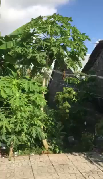 Đất mặt tiền Đường Nhựa Định An 100m² giá 600 triệu - Sổ đỏ chính chủ