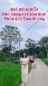 Bán lô đất thổ cư Đạo Tú, Tam Dương 121m² - Giá chỉ 2.42 tỷ, cơ hội đầu tư sinh lời cao!