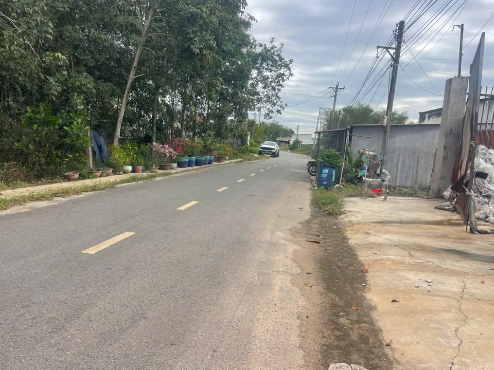 Đất nền Tân Định Bến Cát 500m² - Giá đầu tư hấp dẫn!