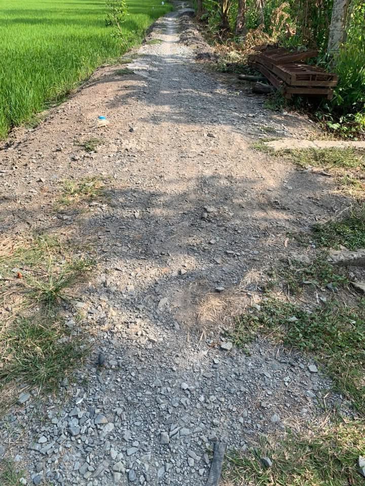 Đất 4 Công Mặt Tiền 30m Tại ấp 1, Xã Phú Cường, Huyện Cai Lậy - Giá Chỉ 1.2 Tỷ!