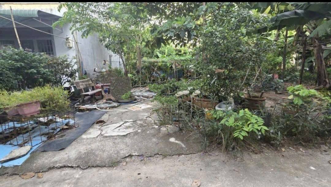 Đất thổ cư Tân Hiệp Hóc Môn 126m² giá 2.45 tỷ - Sổ hồng riêng chính chủ!