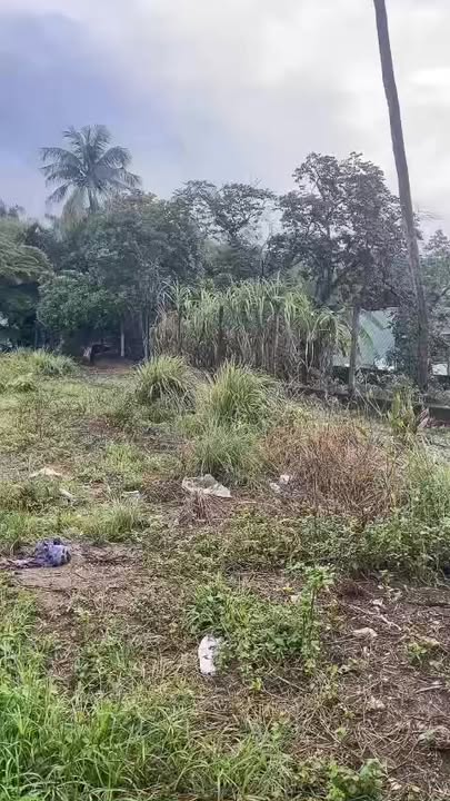 Đất ở Long Trường, Thủ Đức 5.170m² - Cơ hội đầu tư sinh lời cao!