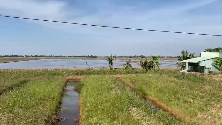 Đất nền Tân Thành Mộc Hóa 100.000m² giá 14 tỷ - Mặt tiền đẹp, đầu tư sinh lời!