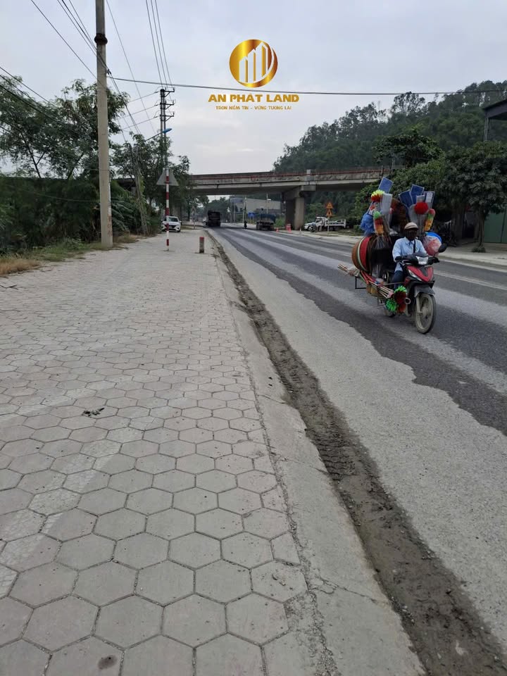 Đất mặt tiền quốc lộ 12B, Tân Bình, 100m² - Đầu tư sinh lời ngay!