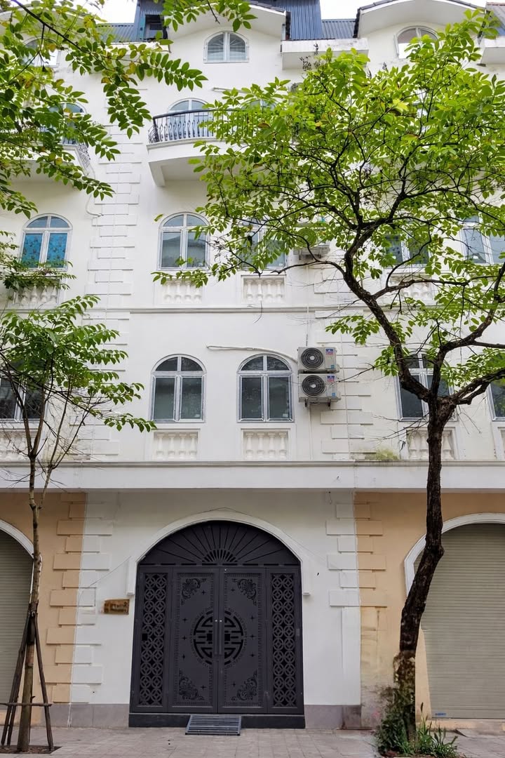 Đất phân lô Dương Nội 100m² giá 1X,X tỷ - Cơ hội đầu tư sinh lời!