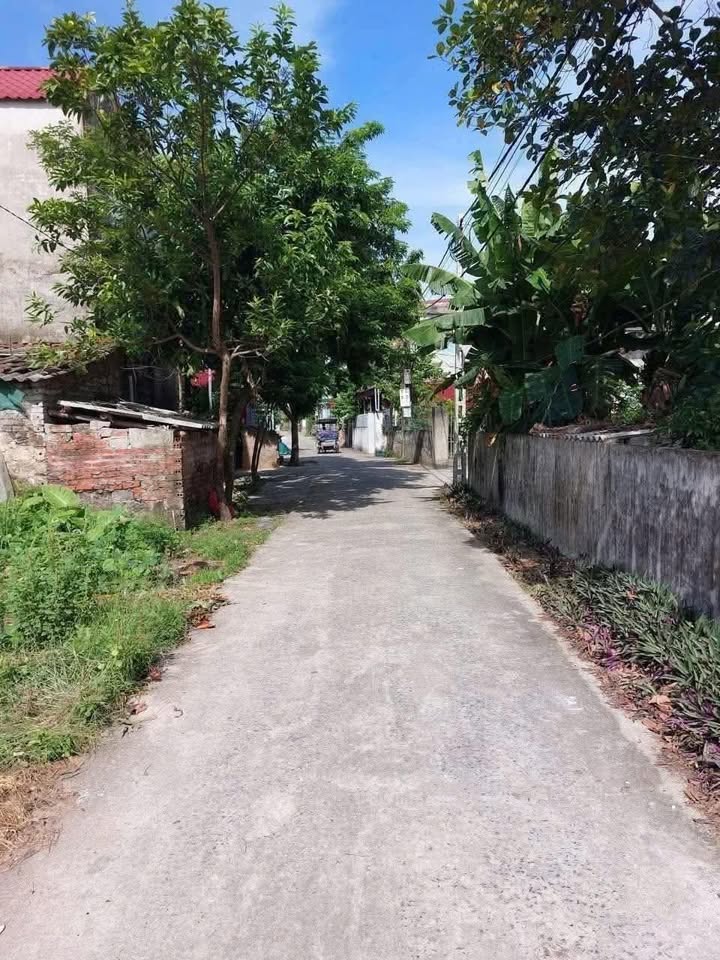 Đất thổ cư Yên Phong, Ý Yên 142m² - Mặt tiền 5m, ô tô vào tận nơi!