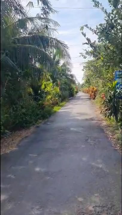 Đất nền mặt tiền đường nhựa Thanh Hòa, Cai Lậy 133m² - Đầu tư sinh lời ngay!