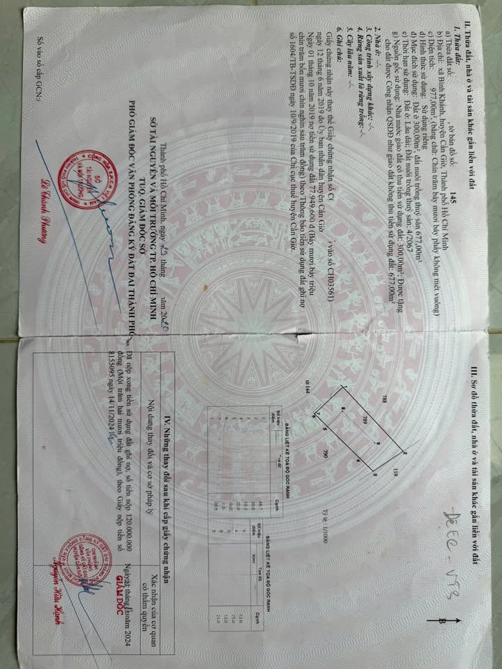 Đất nền Cần Giờ 977m² giá 4.7 tỷ - Cơ hội đầu tư tuyệt vời!