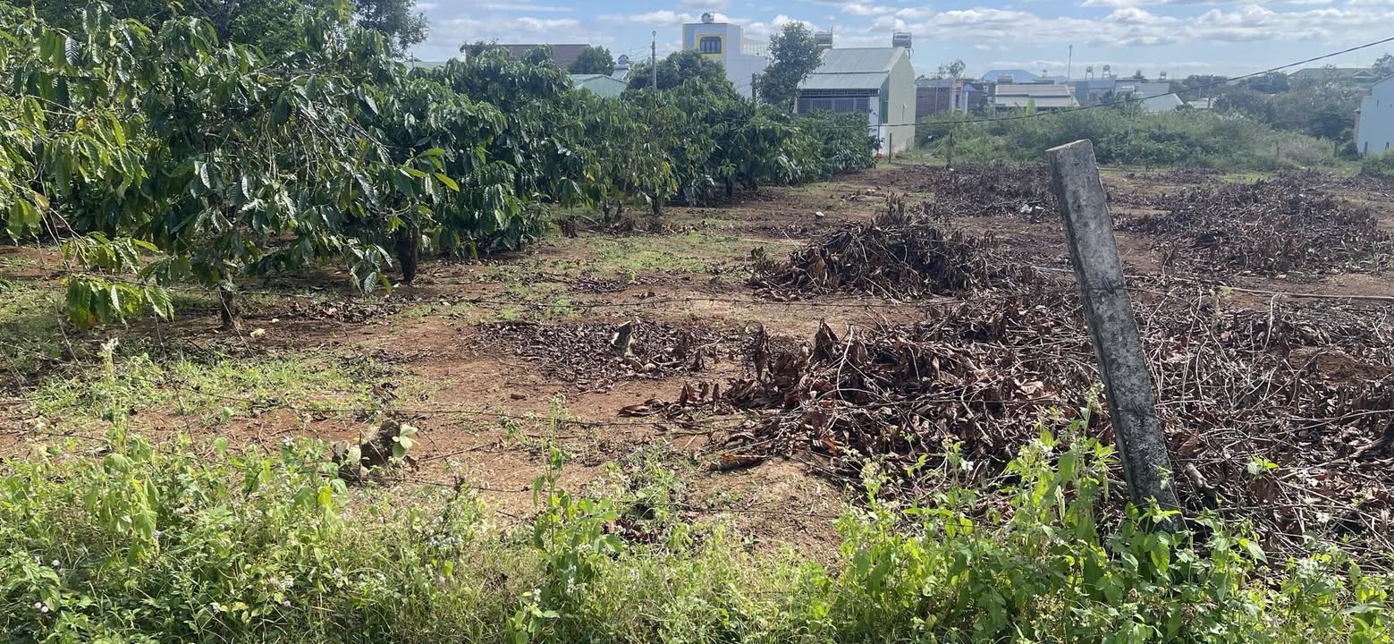 Đất nền hẻm 34 đường Ký Con, Pleiku 117m² giá chỉ 8xx triệu - Đầu tư sinh lời!