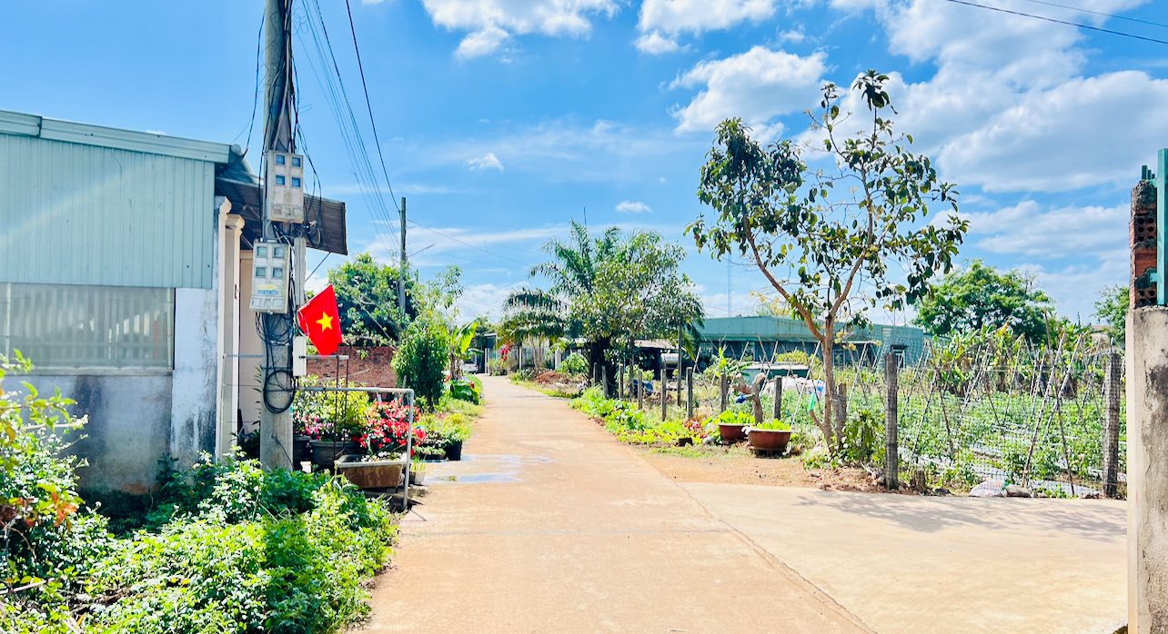 Đất hẻm 280 Phạm Ngọc Thạch, Thống Nhất, 180m², giá 900 triệu - Cơ hội đầu tư hấp dẫn!