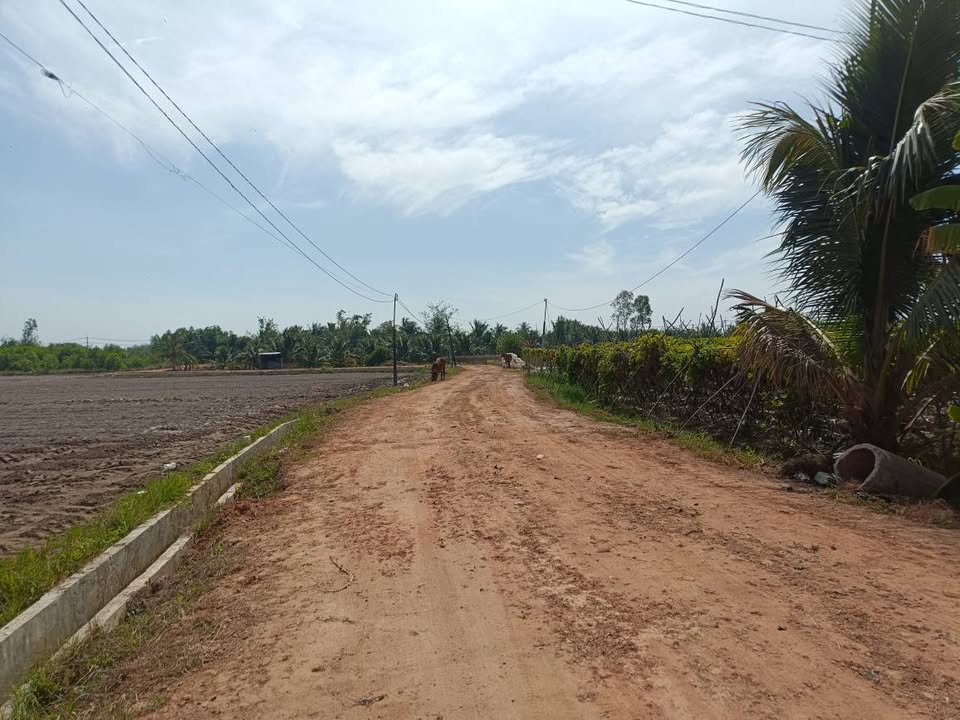 Đất nền liền kề ấp Suối Dộp, Châu Thành, Tây Ninh 400m² - Giá chỉ 270 triệu!