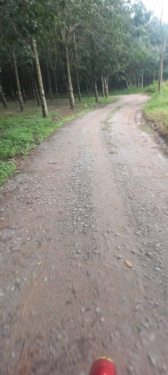 Đất nền 1ha6 Minh Thành, Chơn Thành chỉ 4 tỷ - Cơ hội đầu tư hấp dẫn!