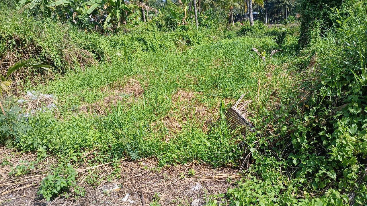 Đất nền 114m² phường 8 Bến Tre chỉ 360 triệu - Cơ hội đầu tư hấp dẫn!