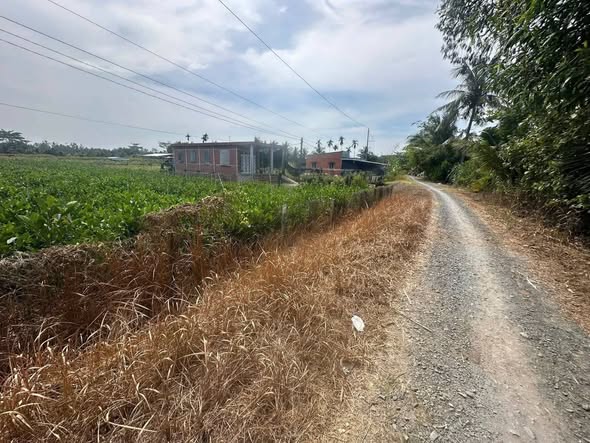 Đất thổ cư 300m² tại Tân Thiềng, Chợ Lách - Giá chỉ 600 triệu!