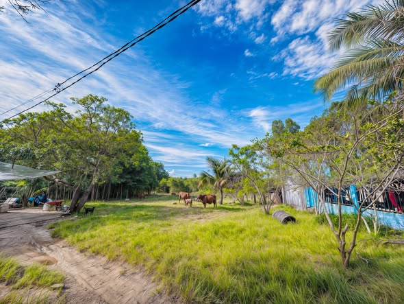 Đất nền Tân Xuân 1059m² giá 1 tỷ - Quy hoạch ONT, sổ hồng riêng!