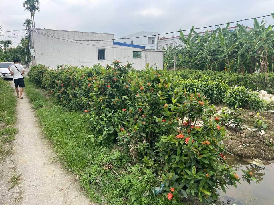 Đất nền Lê Lợi An Dương 300m² giá 700 triệu - Đầu tư sinh lời ngay!