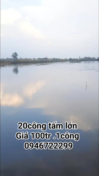 Đất ruộng tôm lúa 20.000m² tại Vân Khánh Tây - Giá chỉ 2 tỷ!