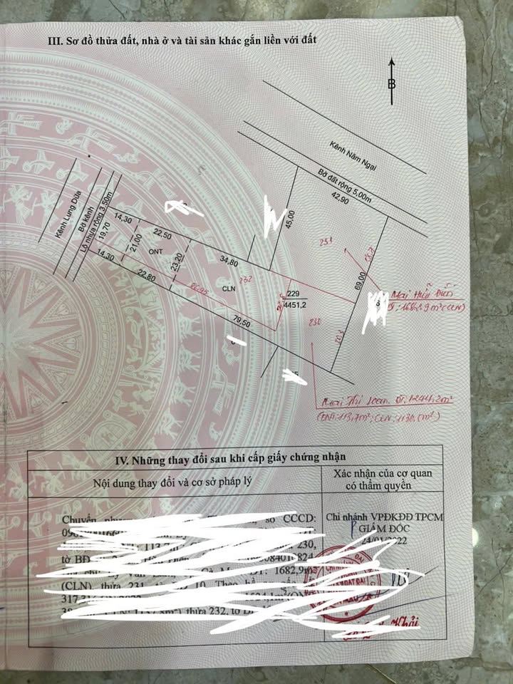 Đất thổ cư Lý Văn Lâm 4451m² giá 3.1 tỷ - Cơ hội đầu tư sinh lời!