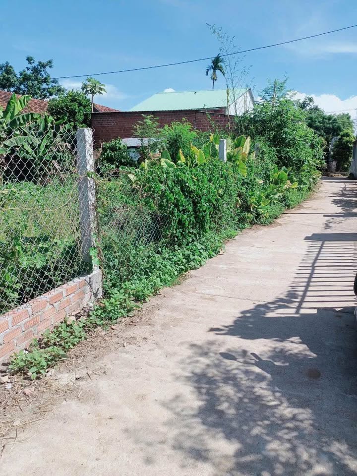 Đất nền liền kề Hòa Phong, Nhơn Mỹ, 200m² - Giá chỉ 3xx triệu!