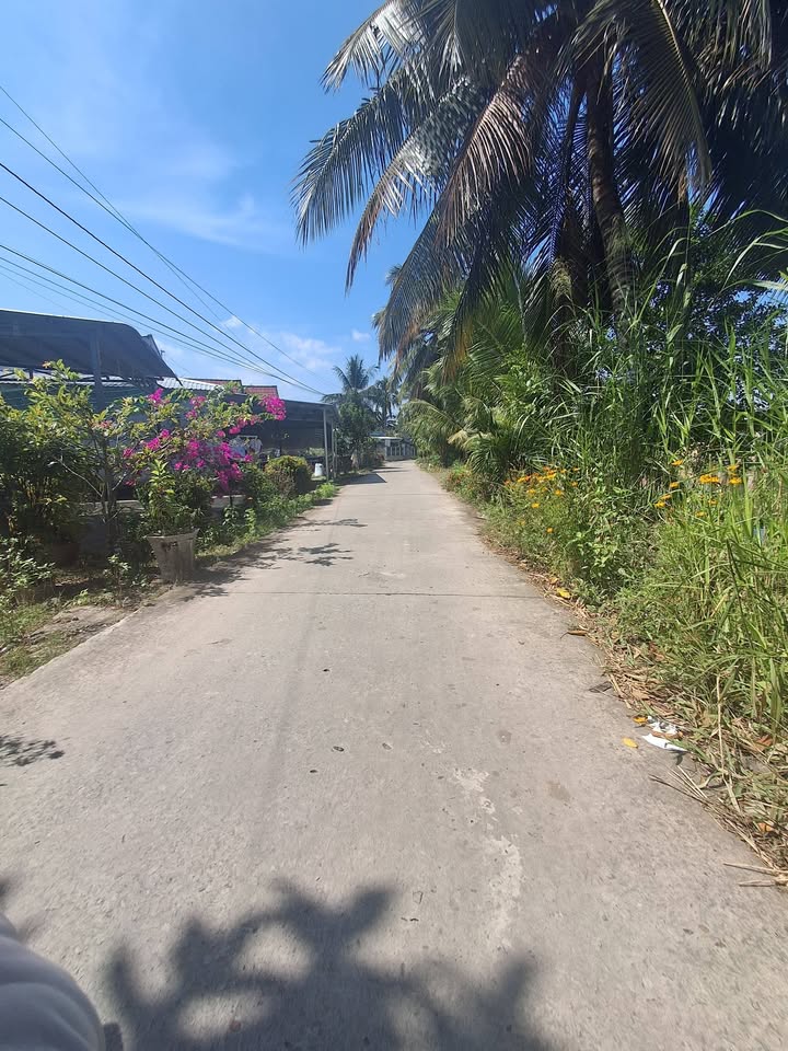 Bán đất ấp Tân Điền, xã Giục Tượng, 228m² - Giá tốt, sổ hồng chính chủ!