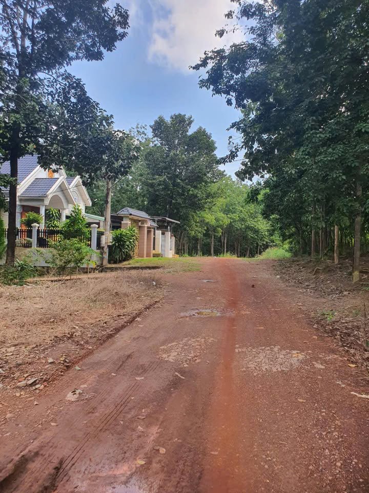 Đất nền Tiến Thành, Đồng Xoài 270m² giá 1 tỷ - Đầu tư sinh lời ngay!