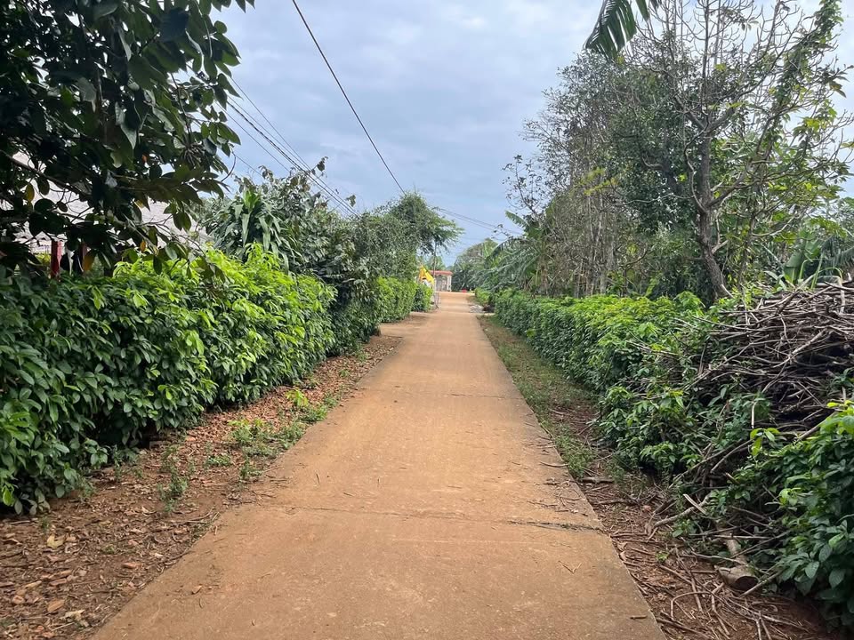 Đất nền Cửa Tùng Vĩnh Linh 280m² giá 300 triệu - Sổ hồng trao tay!