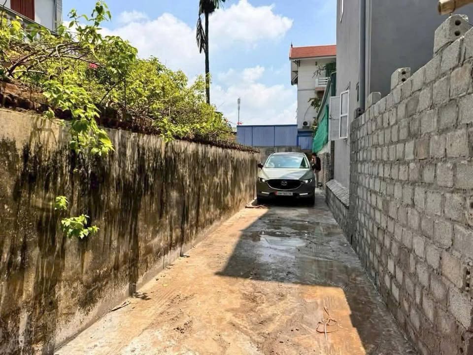 Đất nền Hồng Vân, Thường Tín 51.9m² giá 3.8 tỷ - Sổ đỏ chính chủ, ô tô vào tận nơi!