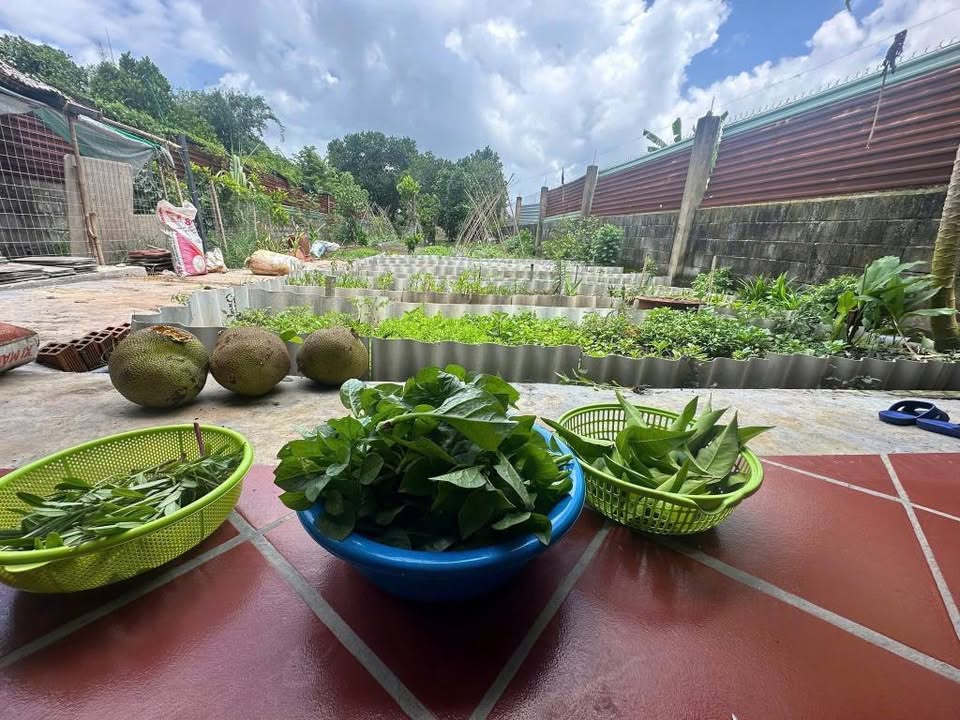 Nhà Vườn Tân Thông Hội Củ Chi 760m² giá 4.5 tỷ - Sẵn sàng vào ở ngay!