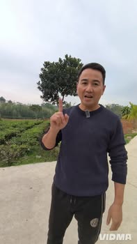 Đất Phúc Xuân Thái Nguyên 2000m² giá 2 triệu/m² - Cơ hội đầu tư lý tưởng!