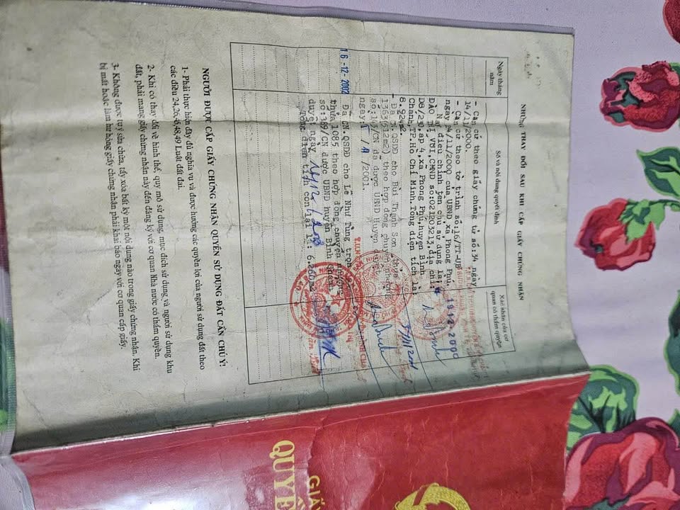 Đất nền 6000m² tại Phong Phú, Bình Chánh - Giá thỏa thuận hấp dẫn!