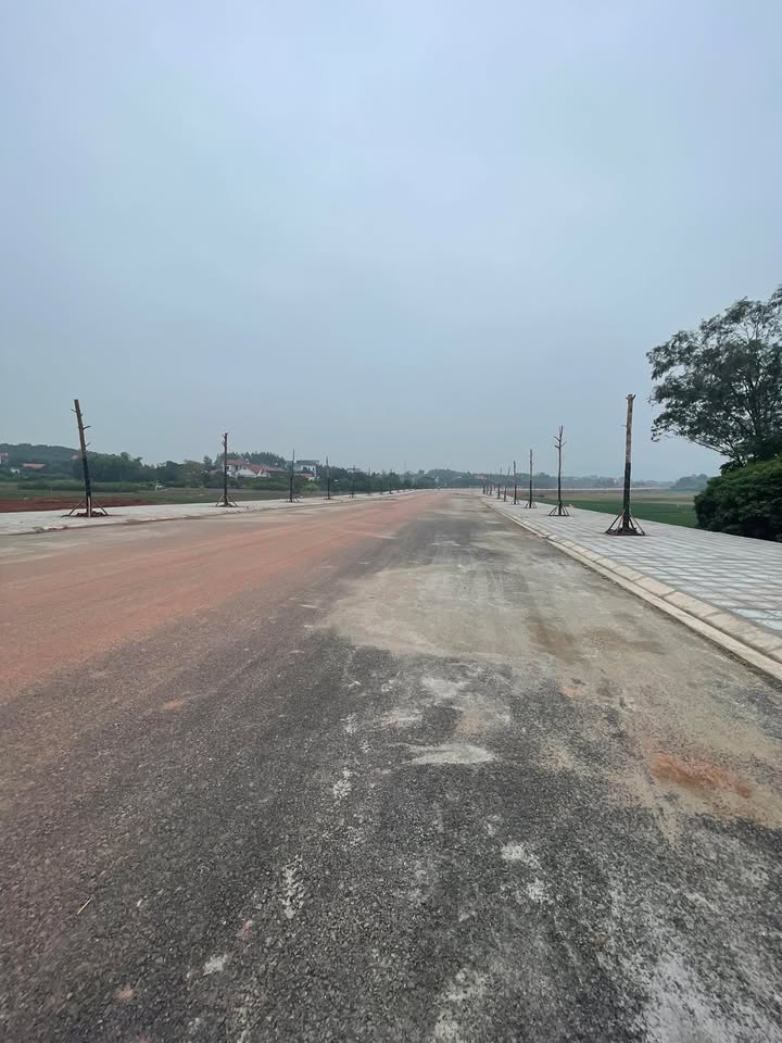 Đất thổ cư Đồi Ngô Lục Nam 100m² giá 1xxx triệu - Cơ hội đầu tư tuyệt vời!