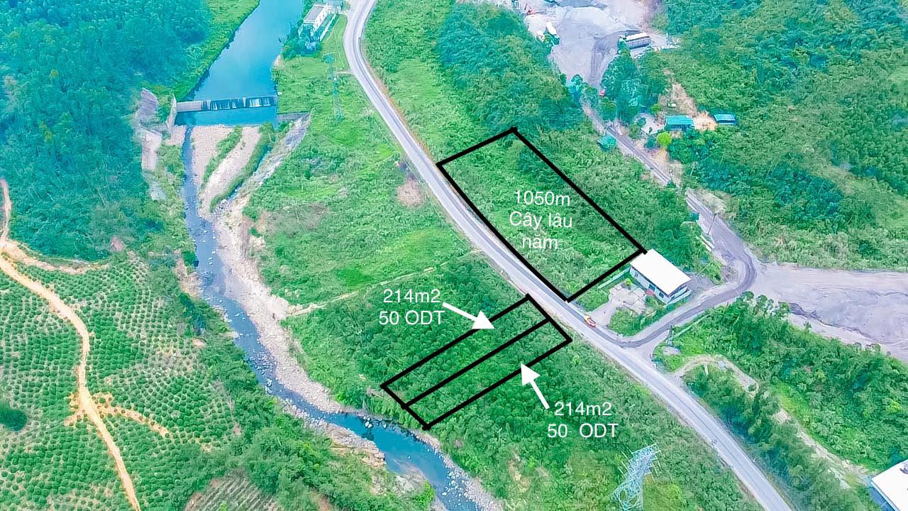 Đất vườn 150m² tại Tỉnh lộ 291, Sơn Động giá chỉ 250 triệu - Cơ hội đầu tư tuyệt vời!