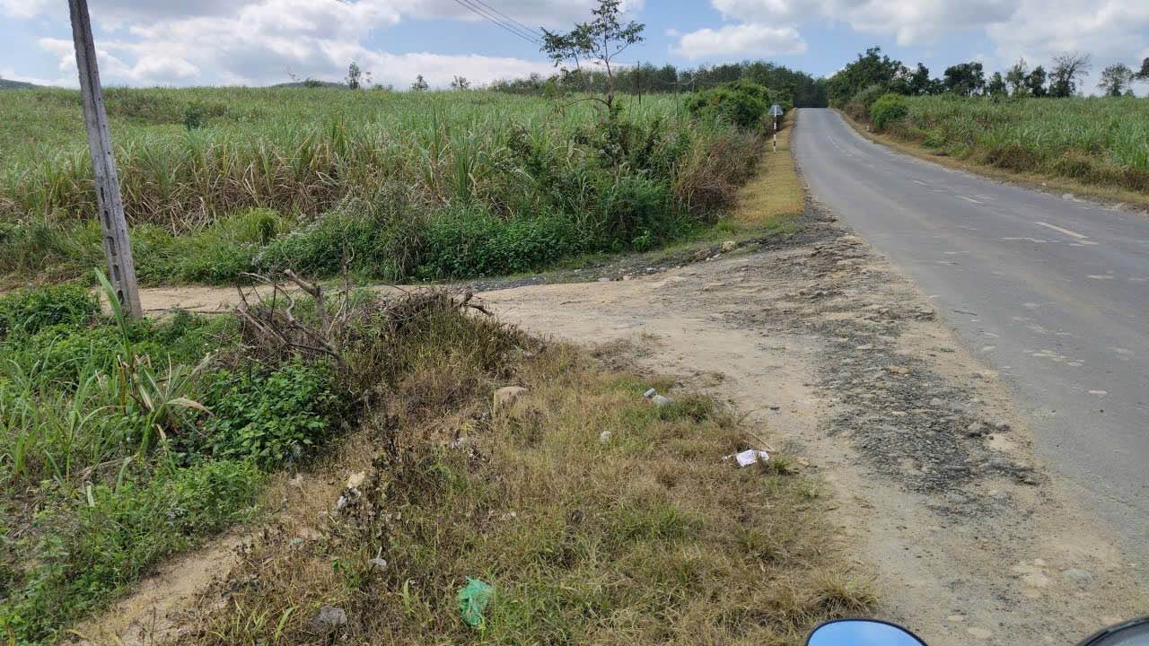 Đất Farm Phú Yên 73.000m² giá 11.5 tỷ - Tiềm năng đầu tư lớn!