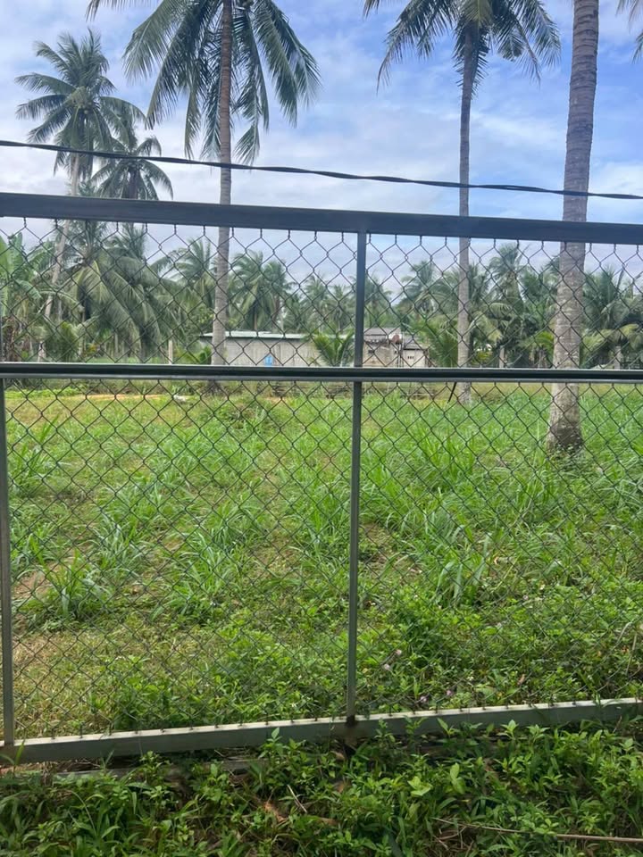 Đất nền Hoà Trung 1, Hoài Xuân 217m² giá 8xx triệu - Đầu tư sinh lời ngay!