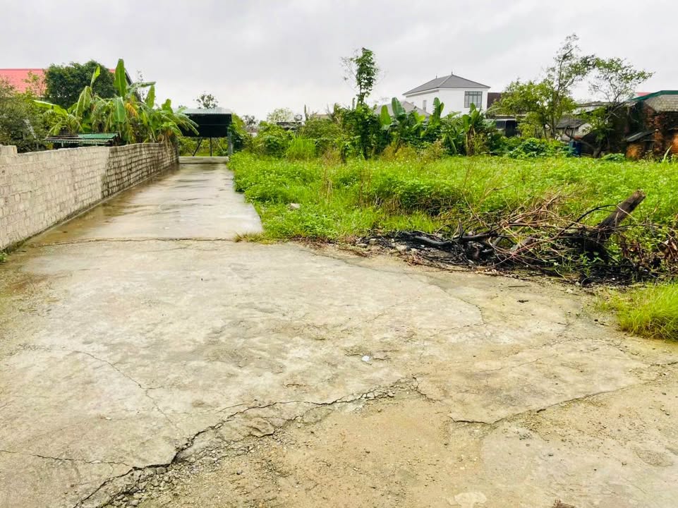 Đất nền góc 2 mặt tiền đường Nhân Nghĩa, Nghi Kim 88m² - Đầu tư sinh lời ngay!