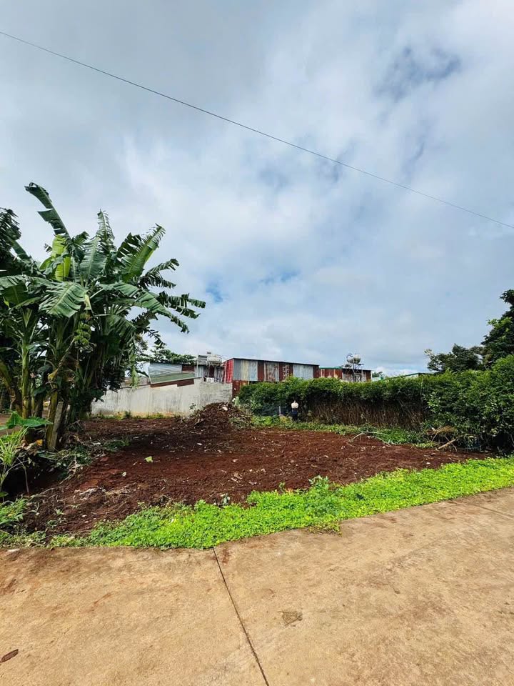 Bán lô đất đẹp hẻm Trần Kiên, phường Tân Lập, Đắk Lắk 104m² - Tiềm năng đầu tư cao!