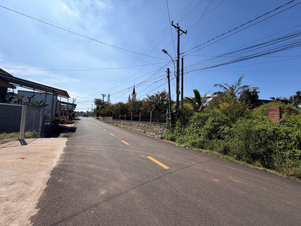 Đất nền biệt thự Lữ Gia Bảo Lộc 1008m² giá 6 tỷ - Đầu tư sinh lời ngay!