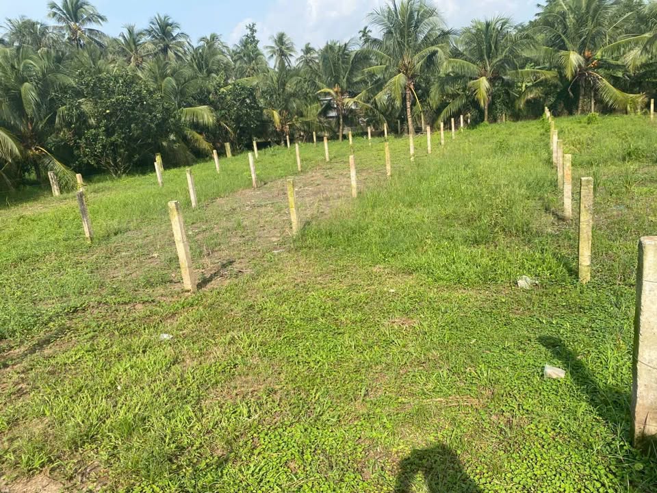 Đất nền mặt tiền đường nhựa 8T tại An Thạnh Thủy 105m² giá 400 triệu - Sổ đỏ chính chủ, thương lượng tốt!