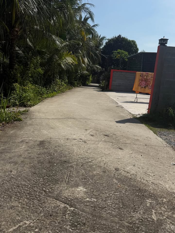 Đất cây lâu năm 884m² Chợ Gạo, Tiền Giang giá 2.7 tỷ - Pháp lý rõ ràng, sẵn sàng công chứng!