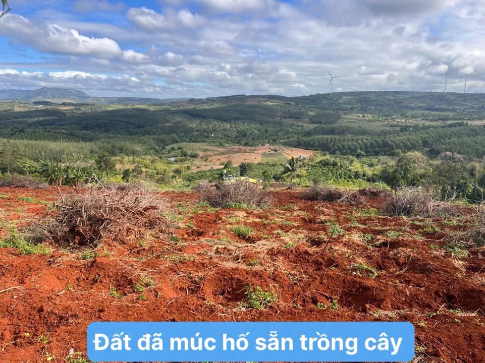 Đất nông nghiệp Ea Nam, Ea H'leo 1,3ha giá chỉ 2,7 tỷ - Đầu tư sinh lời cao!