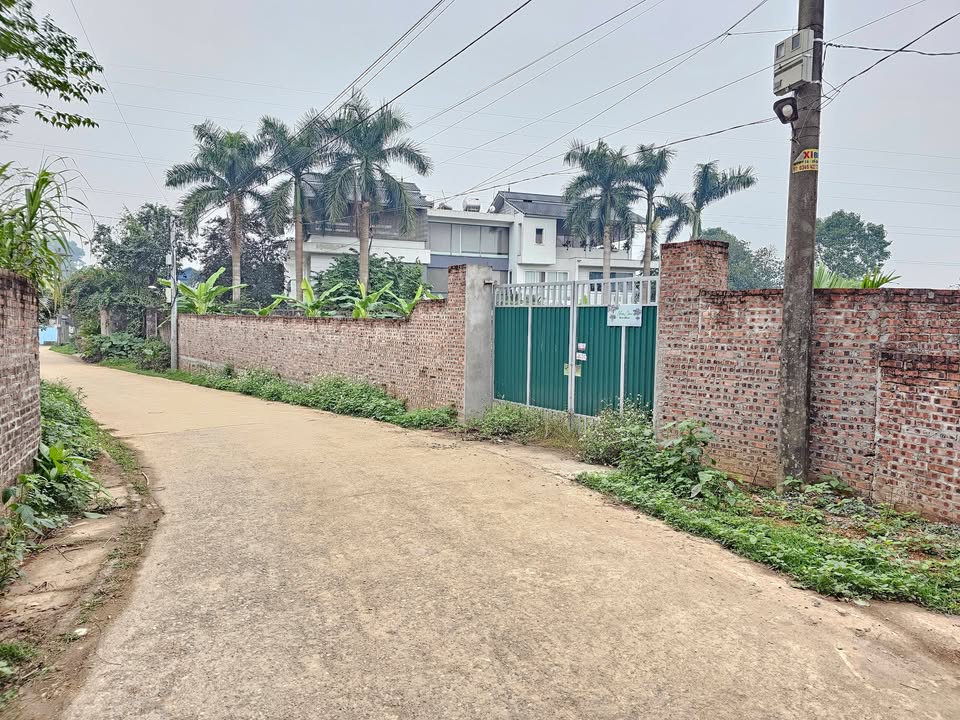 Đất nền 1800m² tại Phú Cát, Quốc Oai - Giá chỉ 18 tỷ - Cơ hội đầu tư sinh lời!