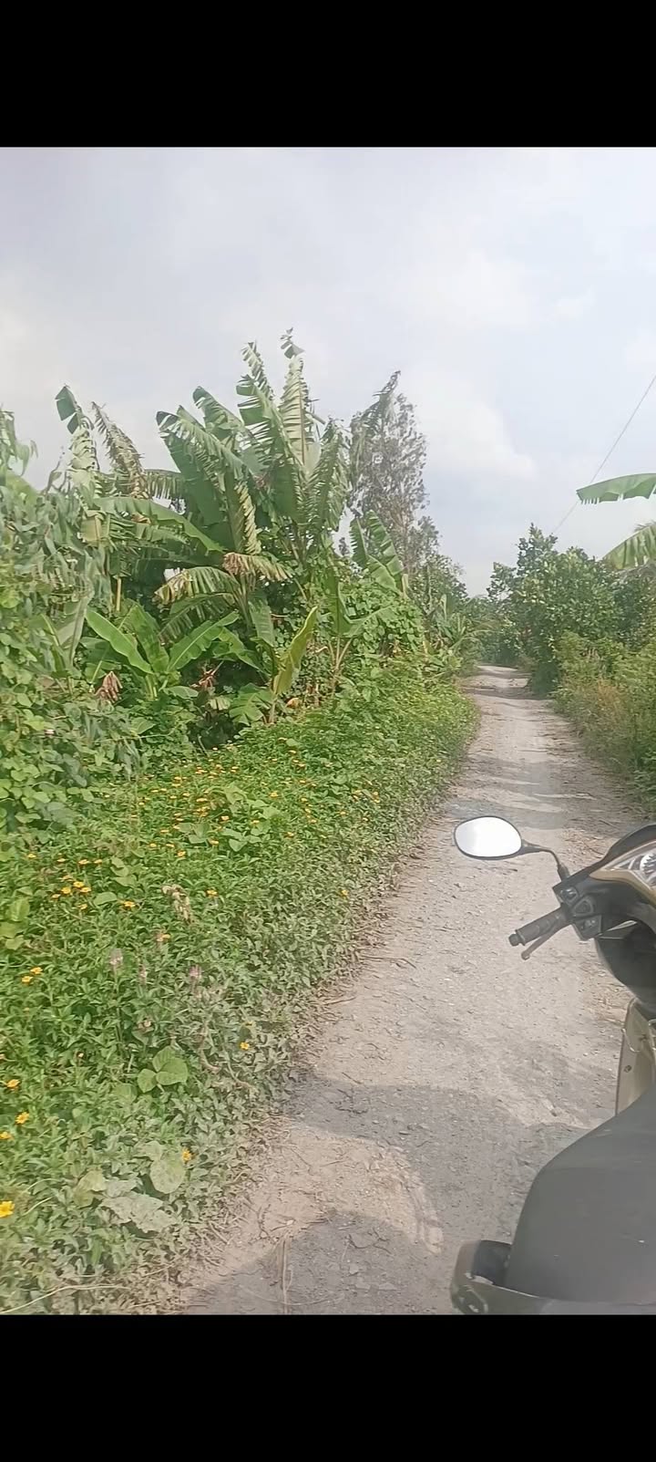 Đất nền 16 công 2 mặt tiền tại Đốc Binh Kiều, Tháp Mười - Giá 3.84 tỷ, cơ hội đầu tư hiếm có!