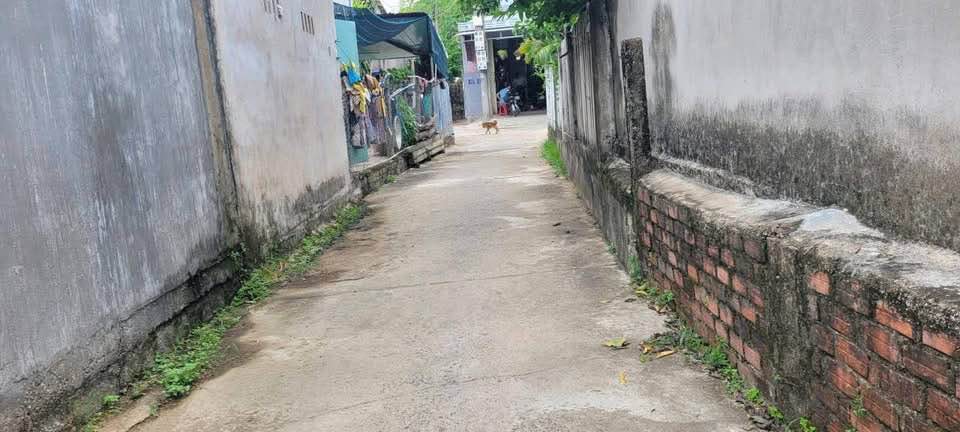 Đất nền Phước Mỹ, Tây Hòa 110m² giá 400 triệu - Sổ hồng chính chủ, thương lượng ngay!