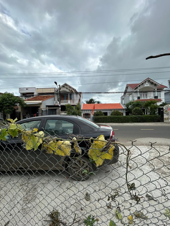 Đất cho thuê mặt tiền đường Thăng Long, Phú Thạnh - Giá thỏa thuận hấp dẫn!