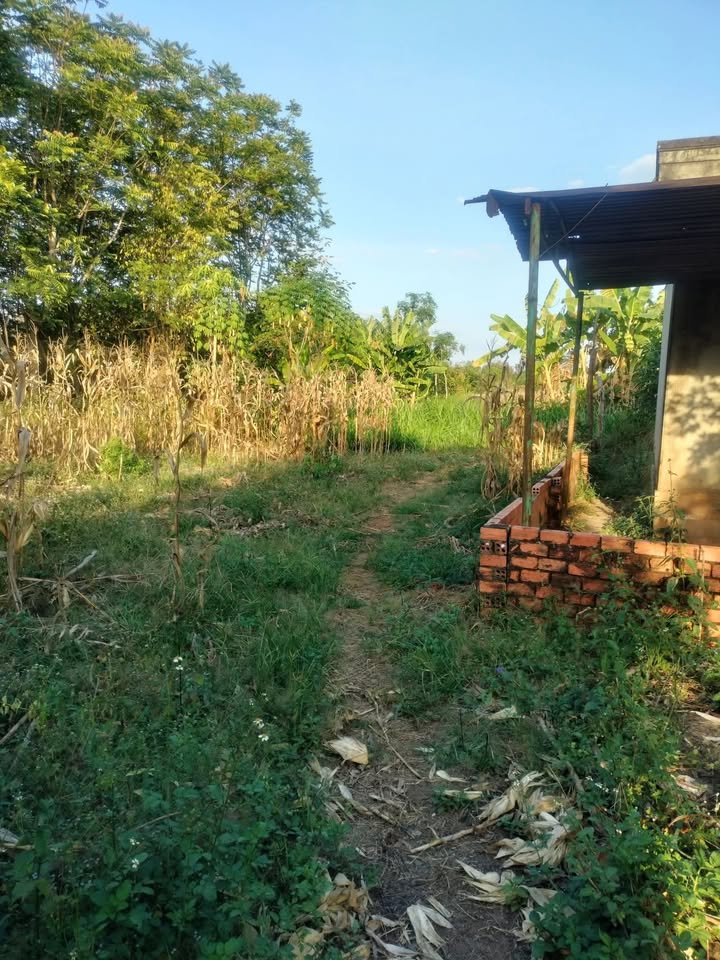 Đất nền 4000m² xã Thanh Lương - Giá chỉ 1 tỷ - Cơ hội đầu tư tuyệt vời!